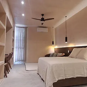 Apartamento Mid-498 Centro, Mérida